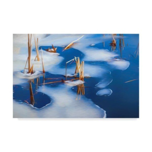 Anthony Paladino 'Ice Shapes On Pond' Canvas Art, 22x32, Trademark Fine Art, Mfr#: ALI24705-C2232GG